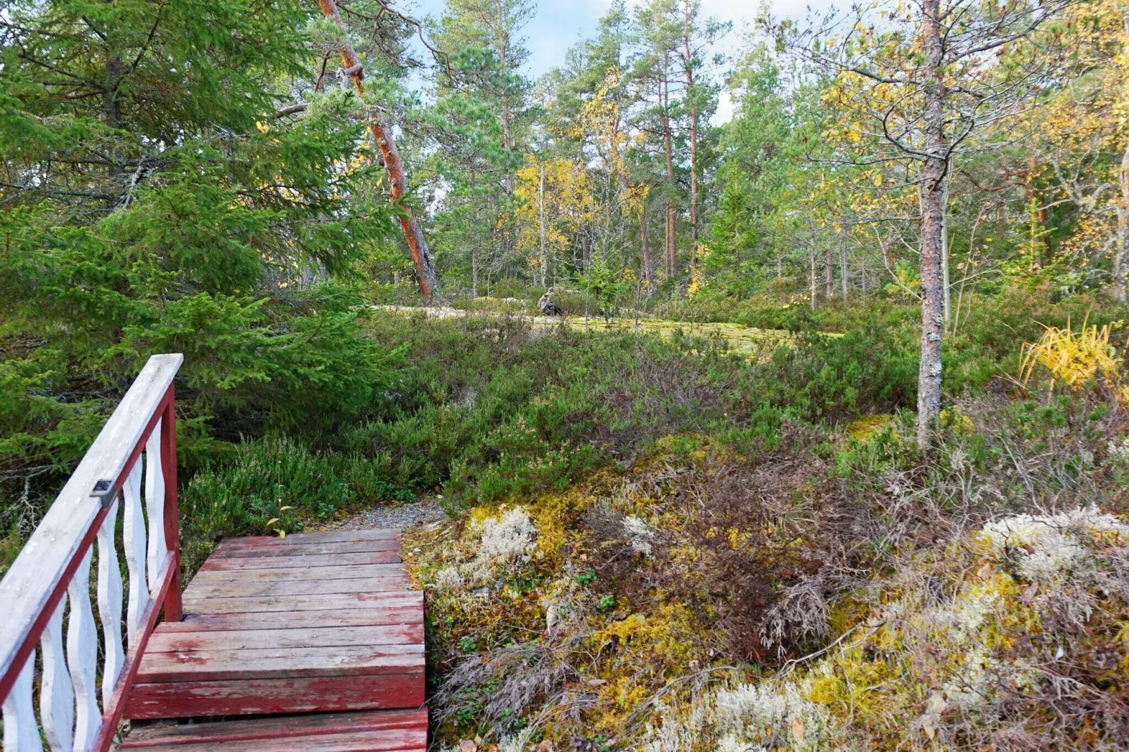 4 sterren vakantie huis in VÄDDÖ-By Traum-Buitenlucht