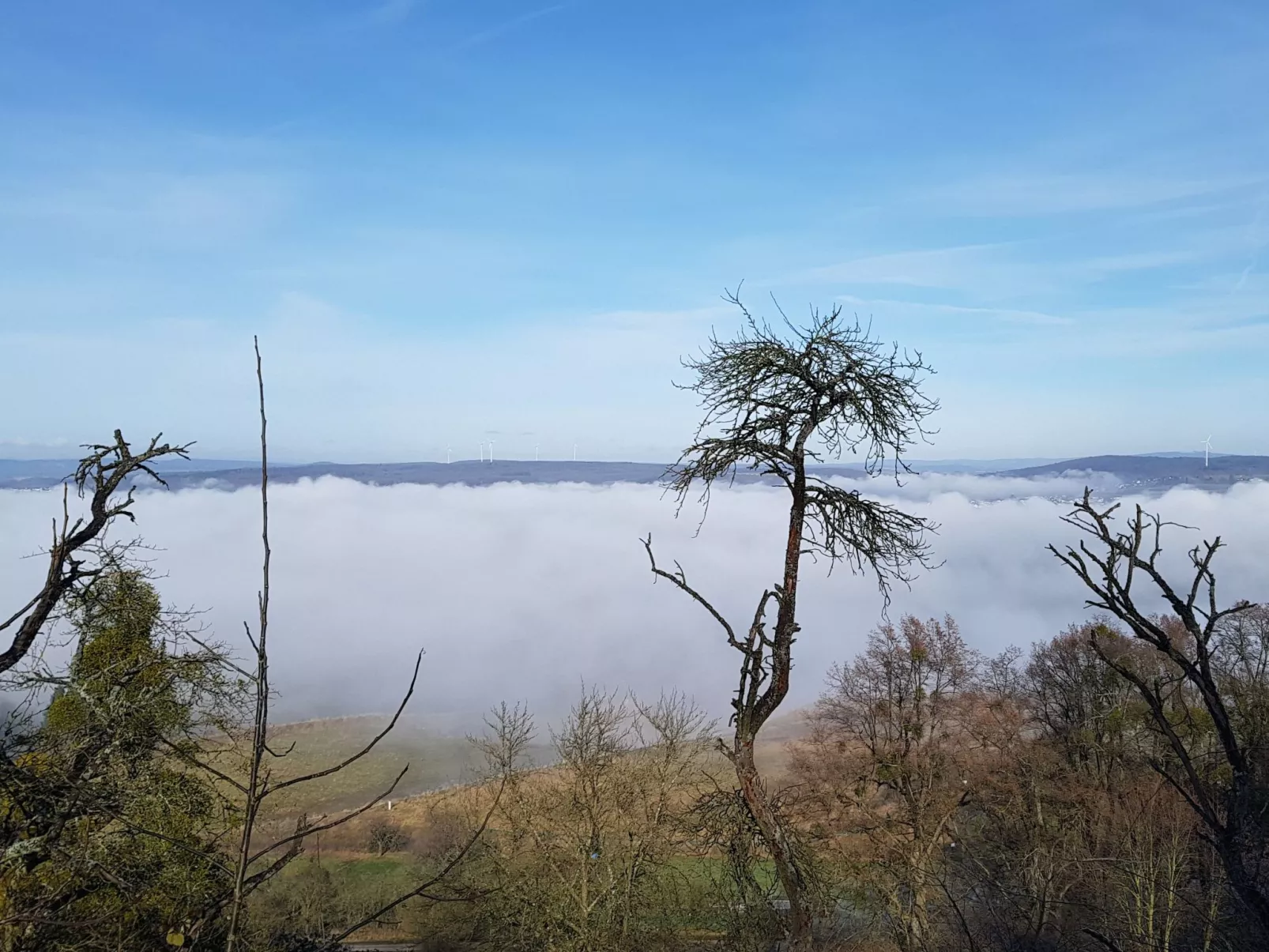 Amöneburg in Amöneburg-Binnen