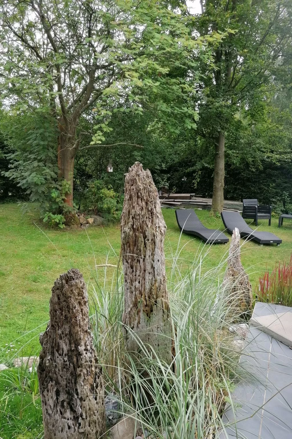 In Erlbach mit Grill und Terrasse-Buiten