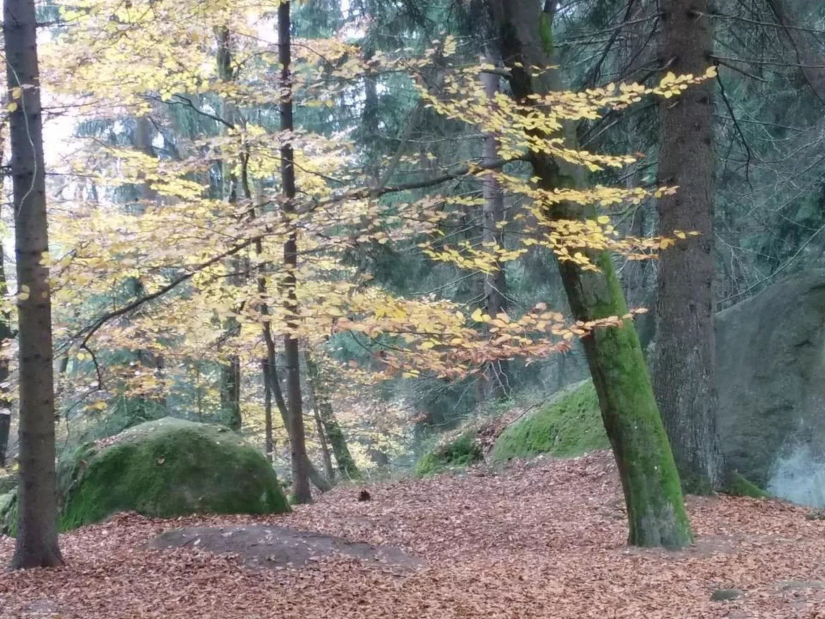 Appartement in Vordorfermühle mit Garten-Binnen