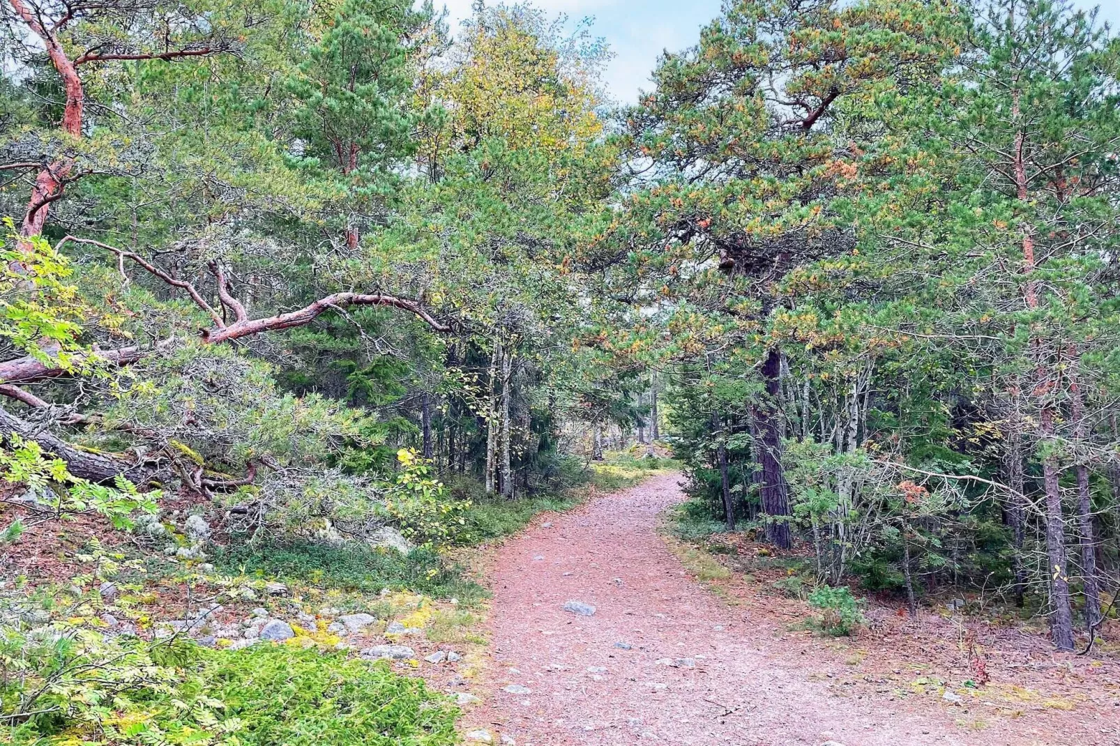 4 sterren vakantie huis in VÄDDÖ-Niet-getagd