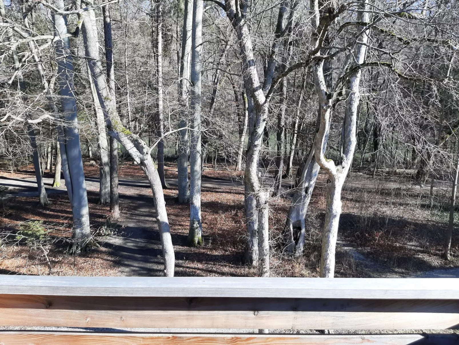 Lechrauschen Landsberg-Binnen