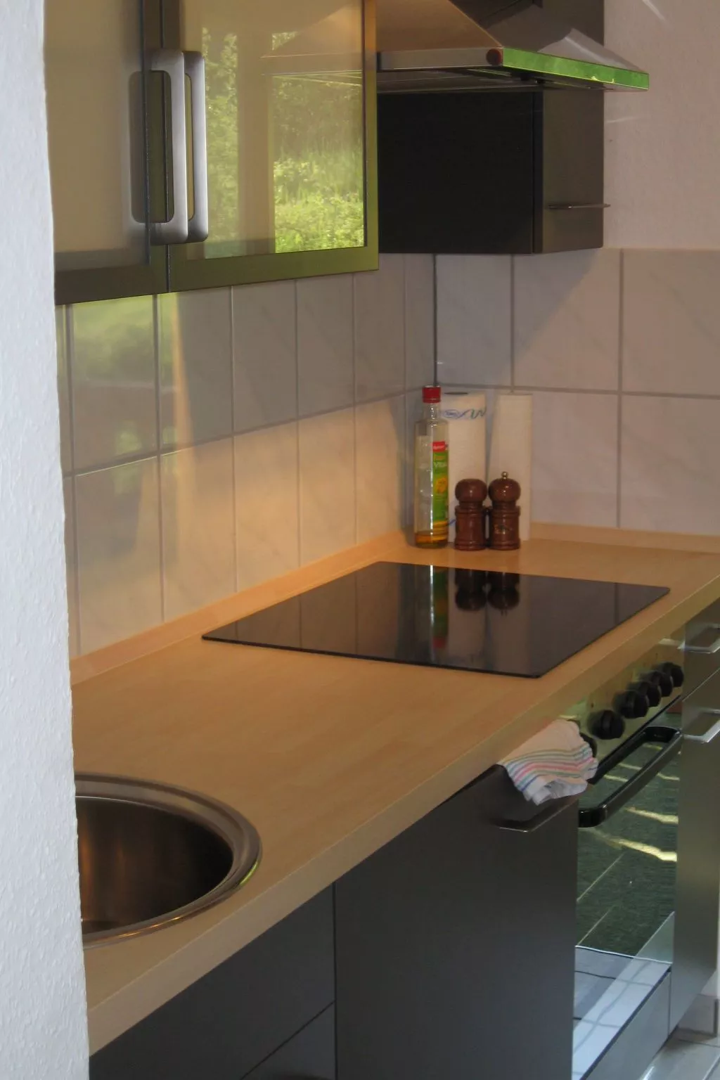 Gemütliche Ferienwohnung mit Blick auf die Donau-Binnen