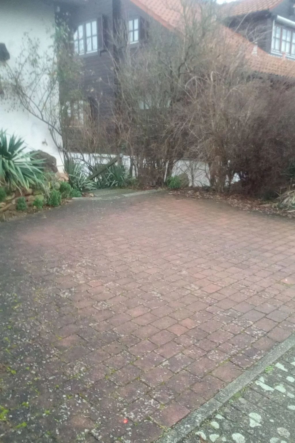 Urlaub am Feigenbaum in Nußloch-Image-tags.info