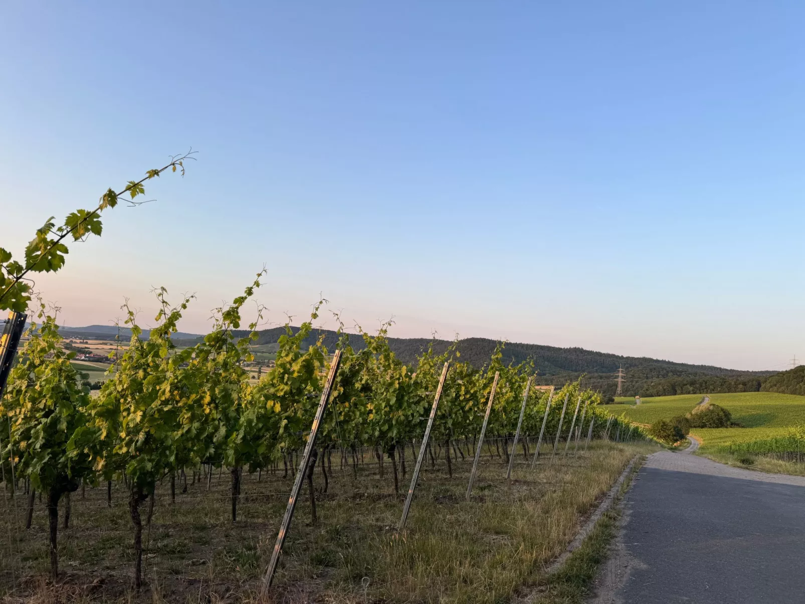 Panorama 180°-Binnen
