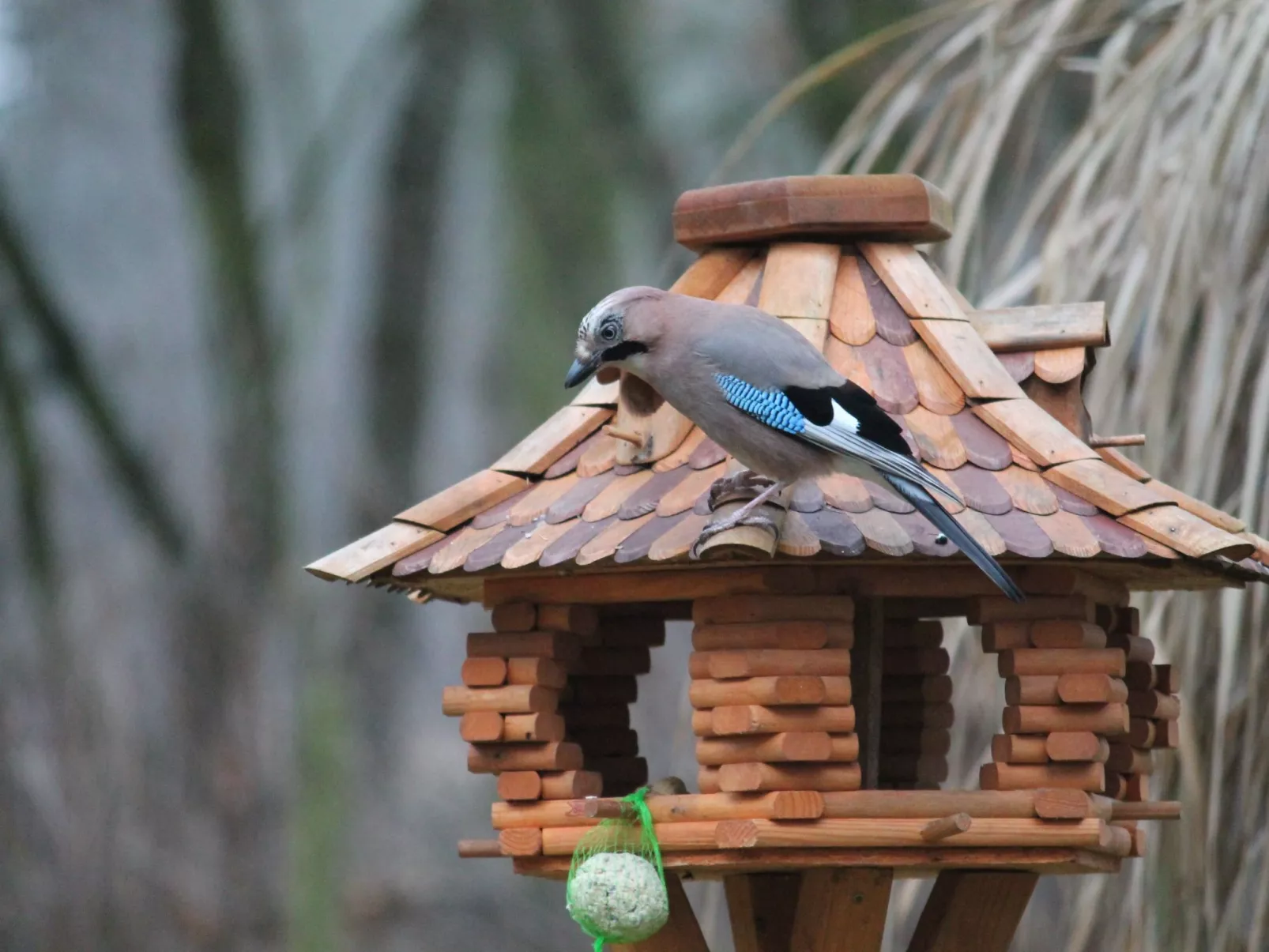 Bungalow Waldidyll-Binnen