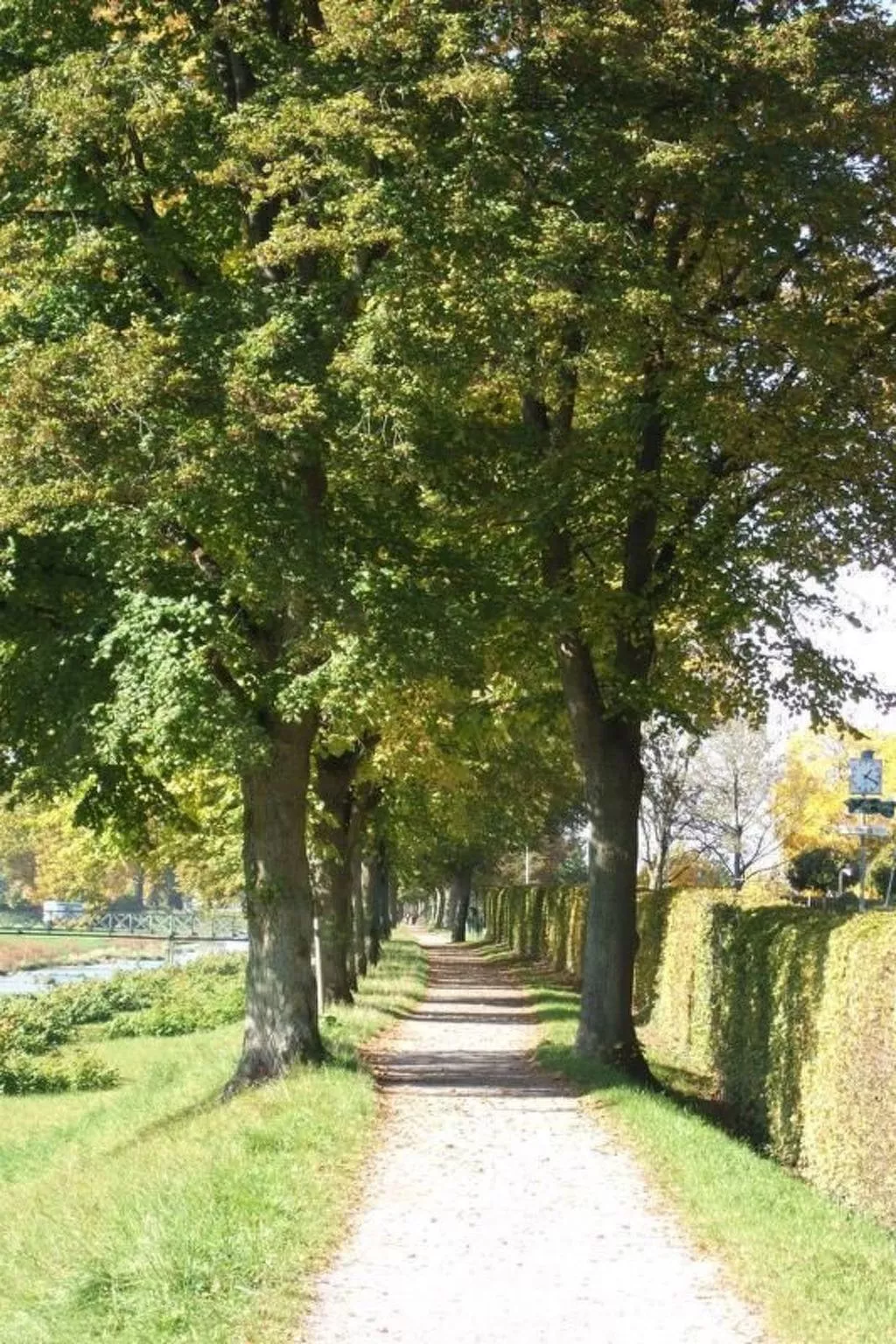 Mayer in Oberkirch-Binnen