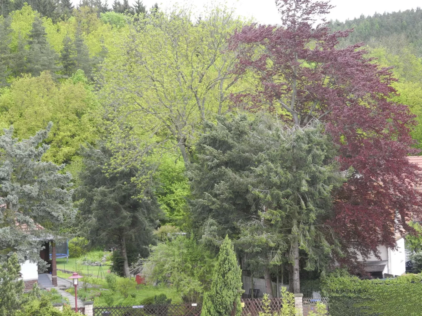 Kleine, gemütliche Ferienwohnung im Erholungsort-Buiten