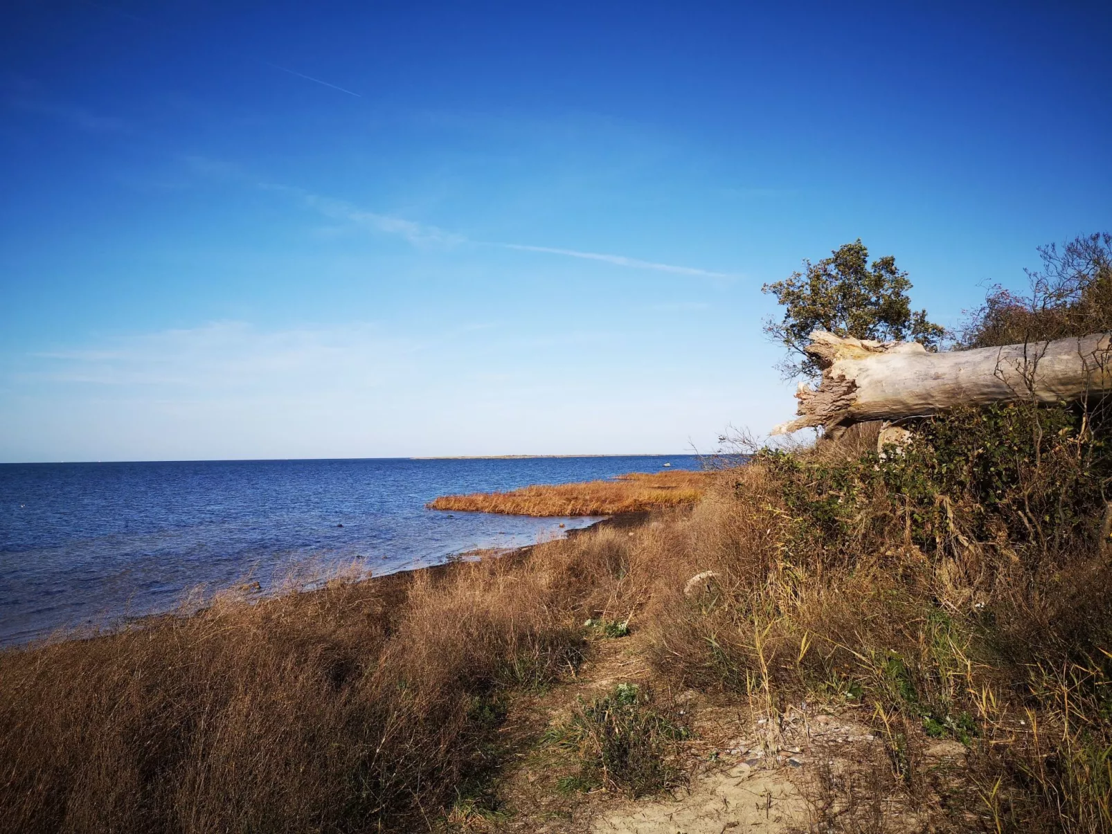 FH Salzhaff-Urlaub-Image-tags.info