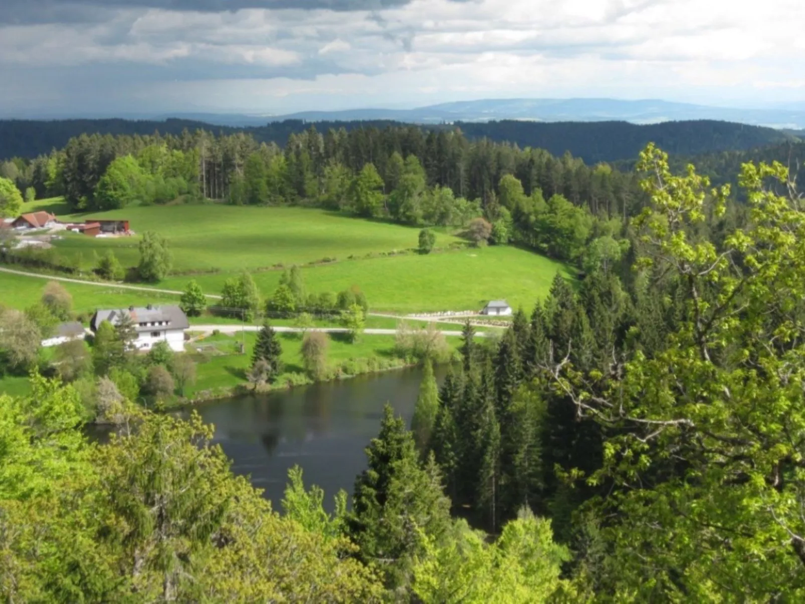 Appartement in Wittenschwand-Buiten