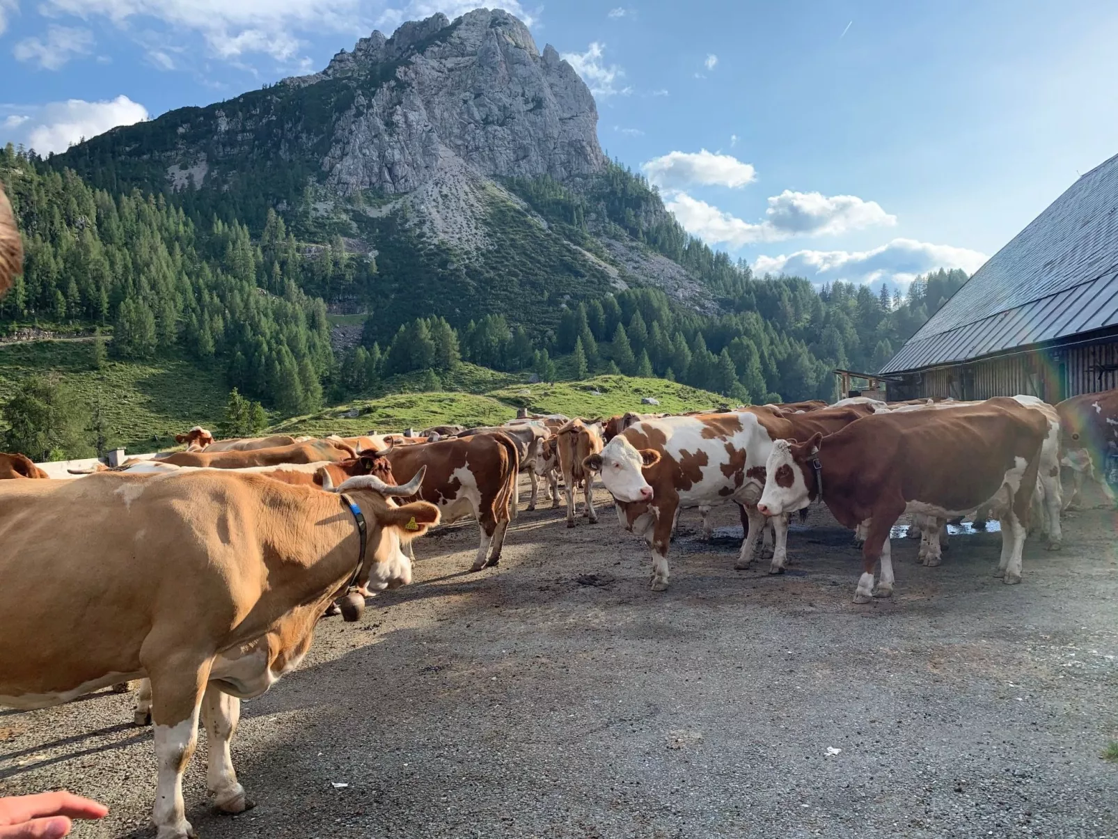 In Gemeinde Hermagor-Pressegger See mit Terrasse, Grill und Garten-Image-tags.info