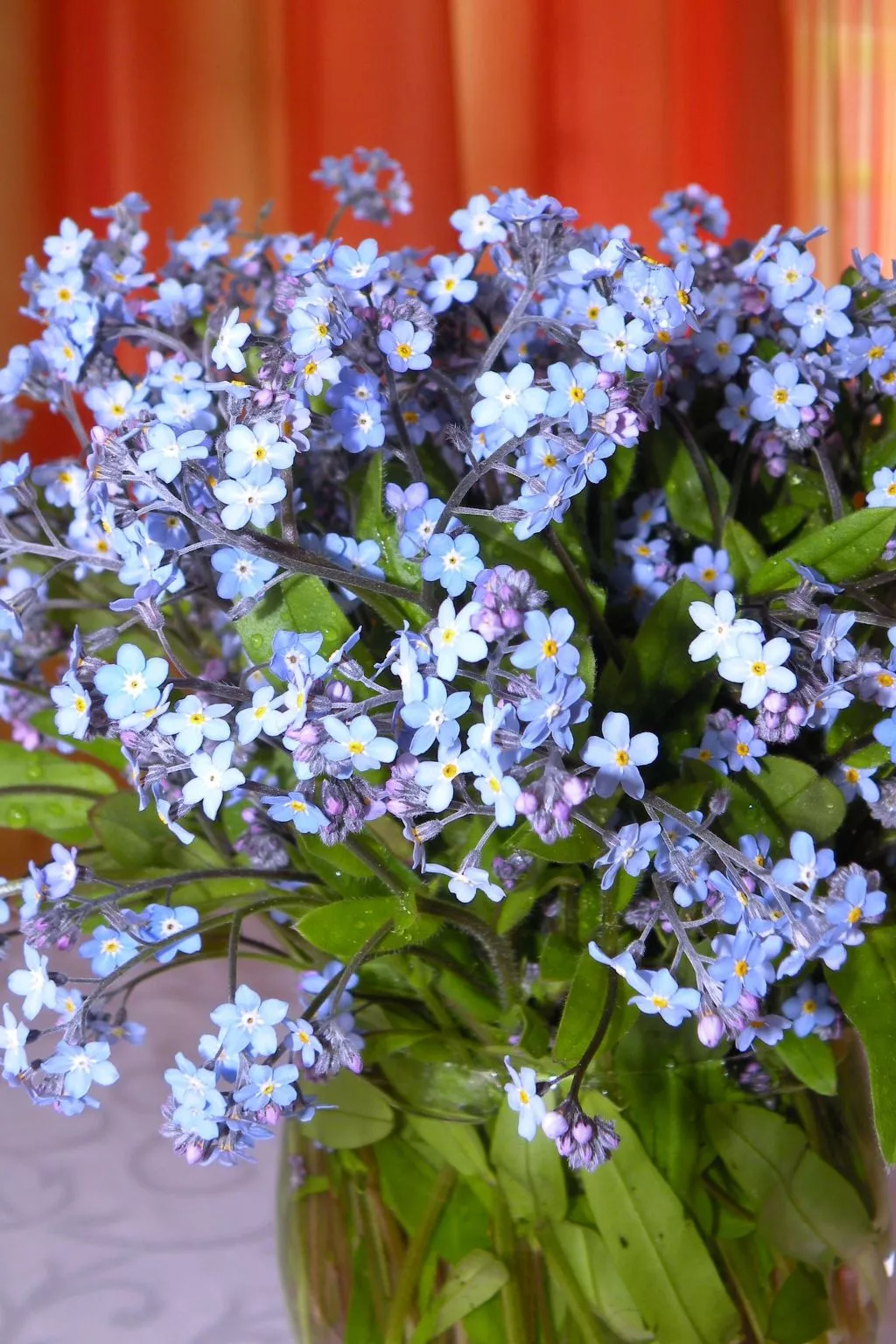 Modernes Ferienhaus in Granitzen mit Grill-Binnen