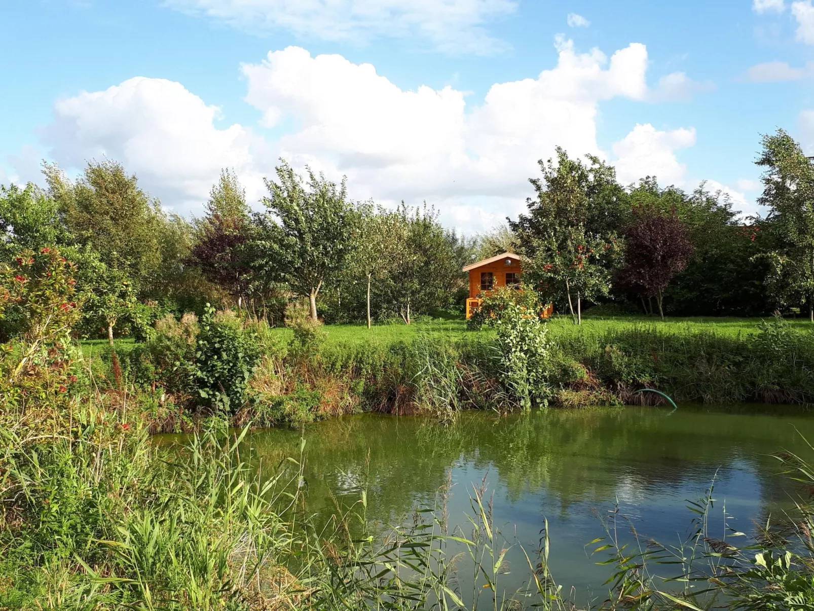 Sonnige Ferienwohnung in ländlicher Umgebung-Buiten