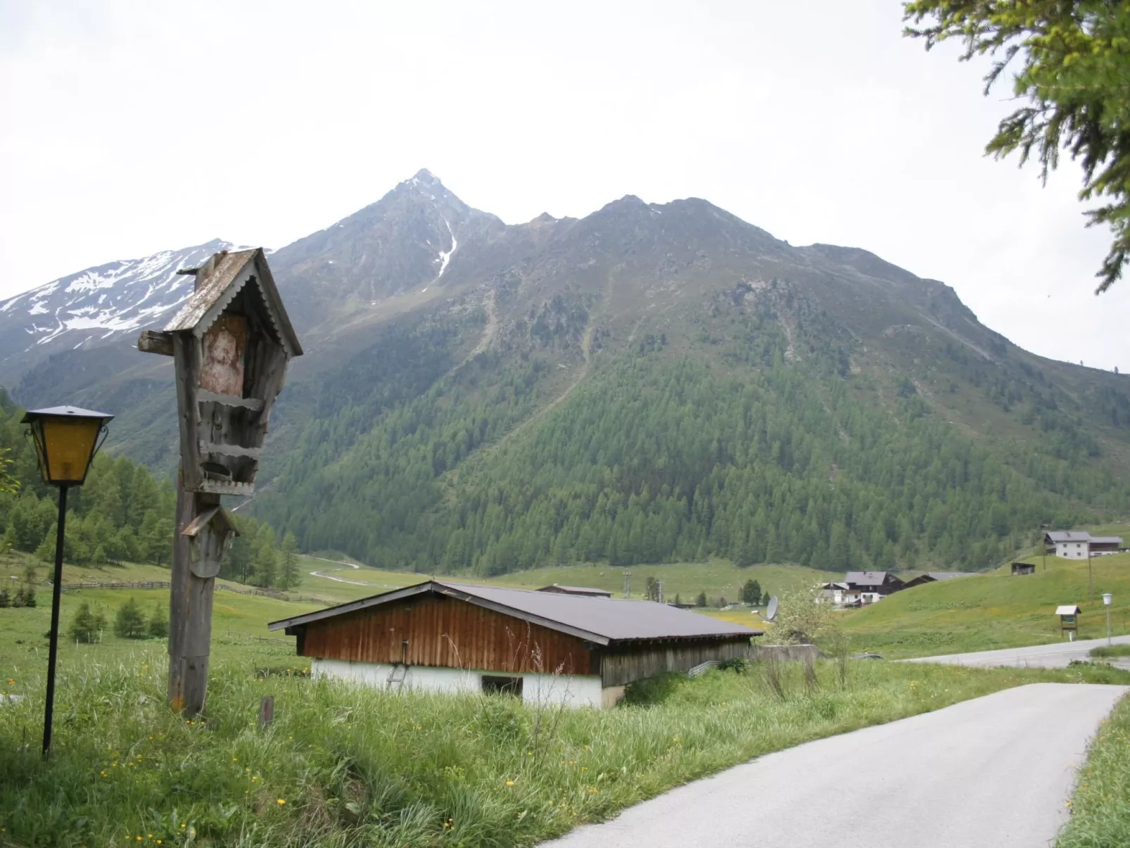 Wohnung Waldeslust in St. Sigmund im Sellrain-Binnen