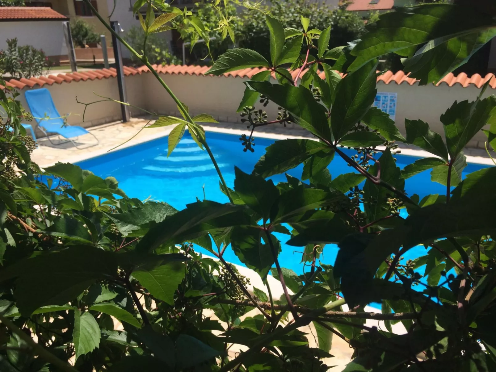 Komplette Villa mit zwei Appartements-Buiten