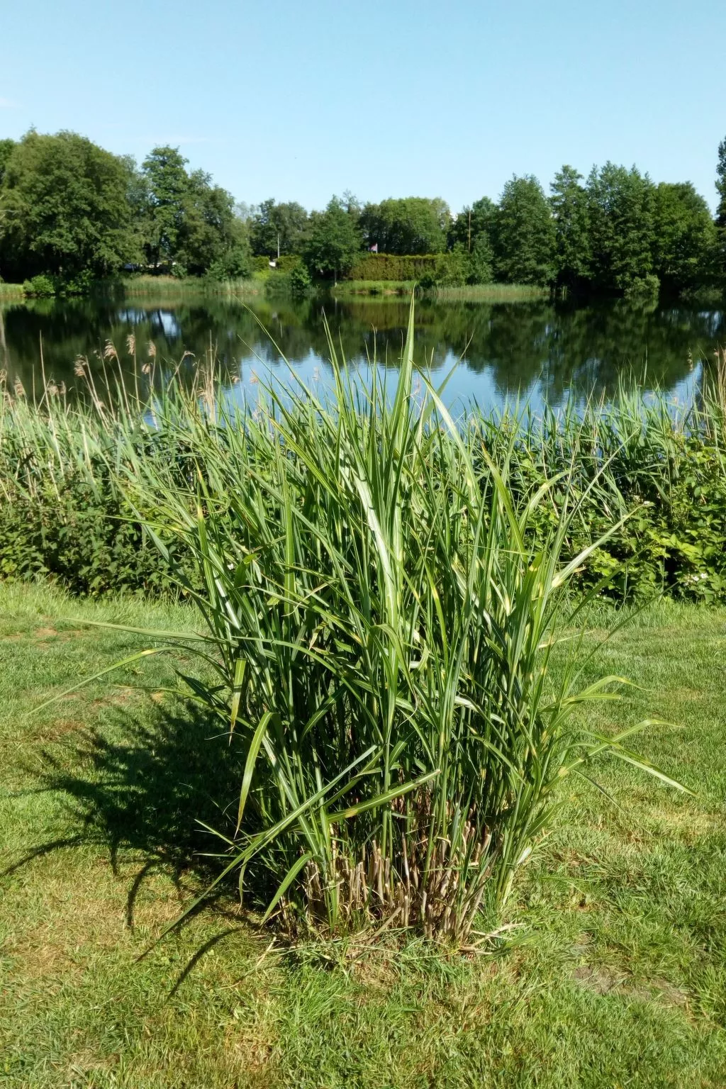 Landromantik mit traumhaftem Seeblick-Buiten
