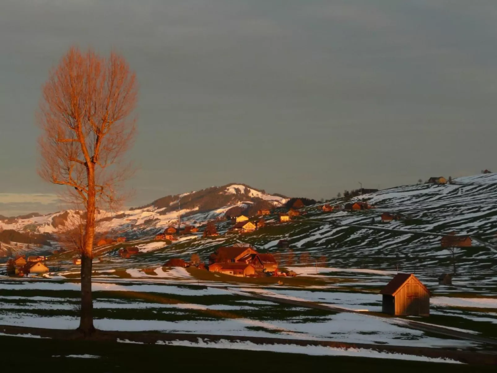 Hautle-Image-tags.info