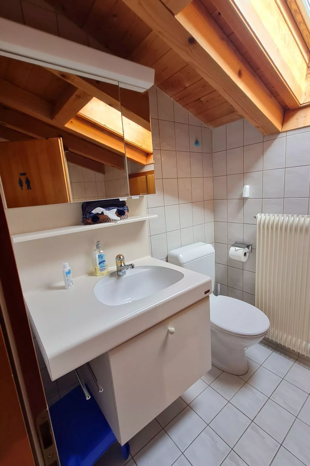 Chalet Haus (bei Einfahrt grosser Nussbaum )-Binnen