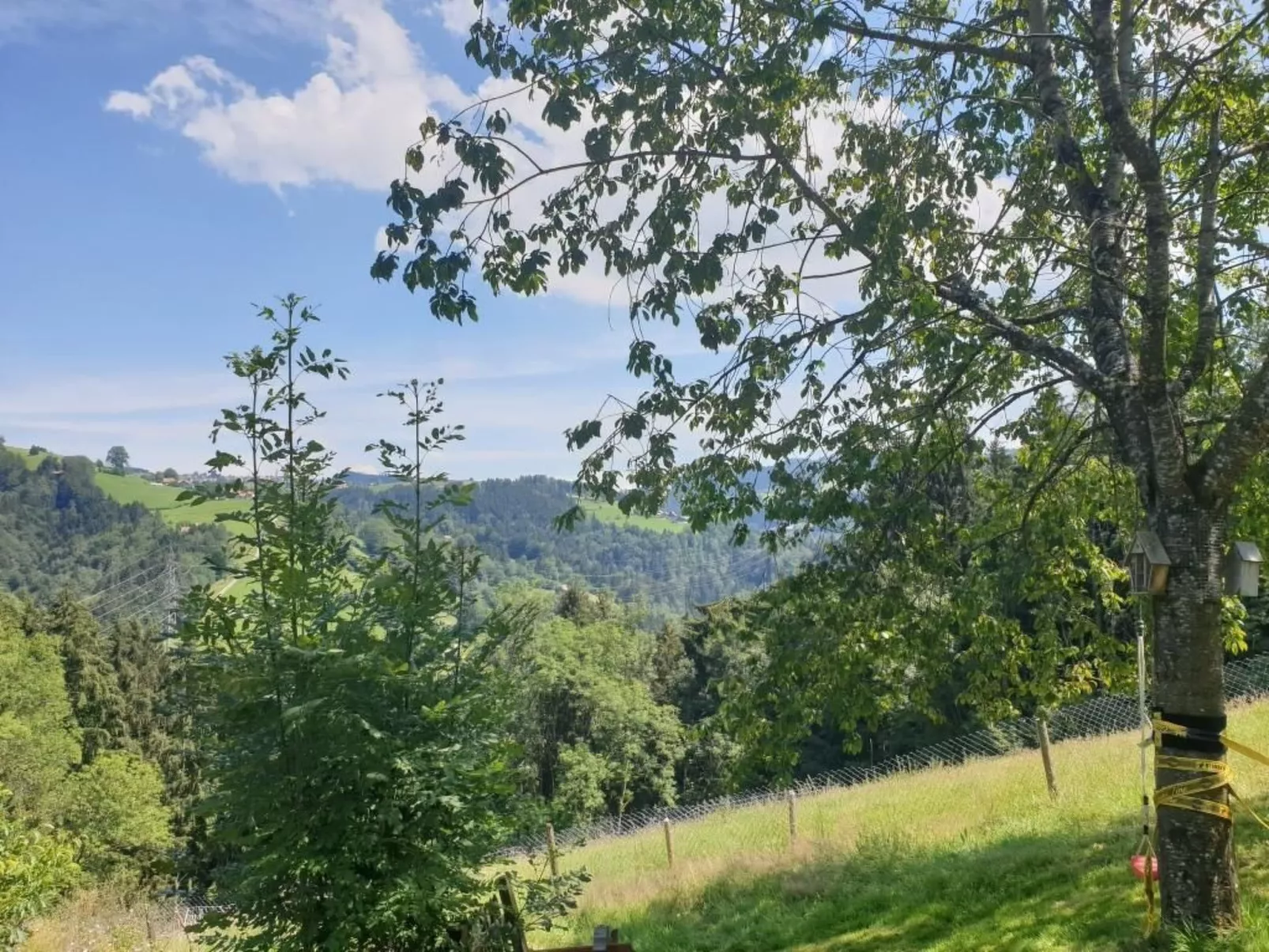 Landhaus Speicher-Buiten