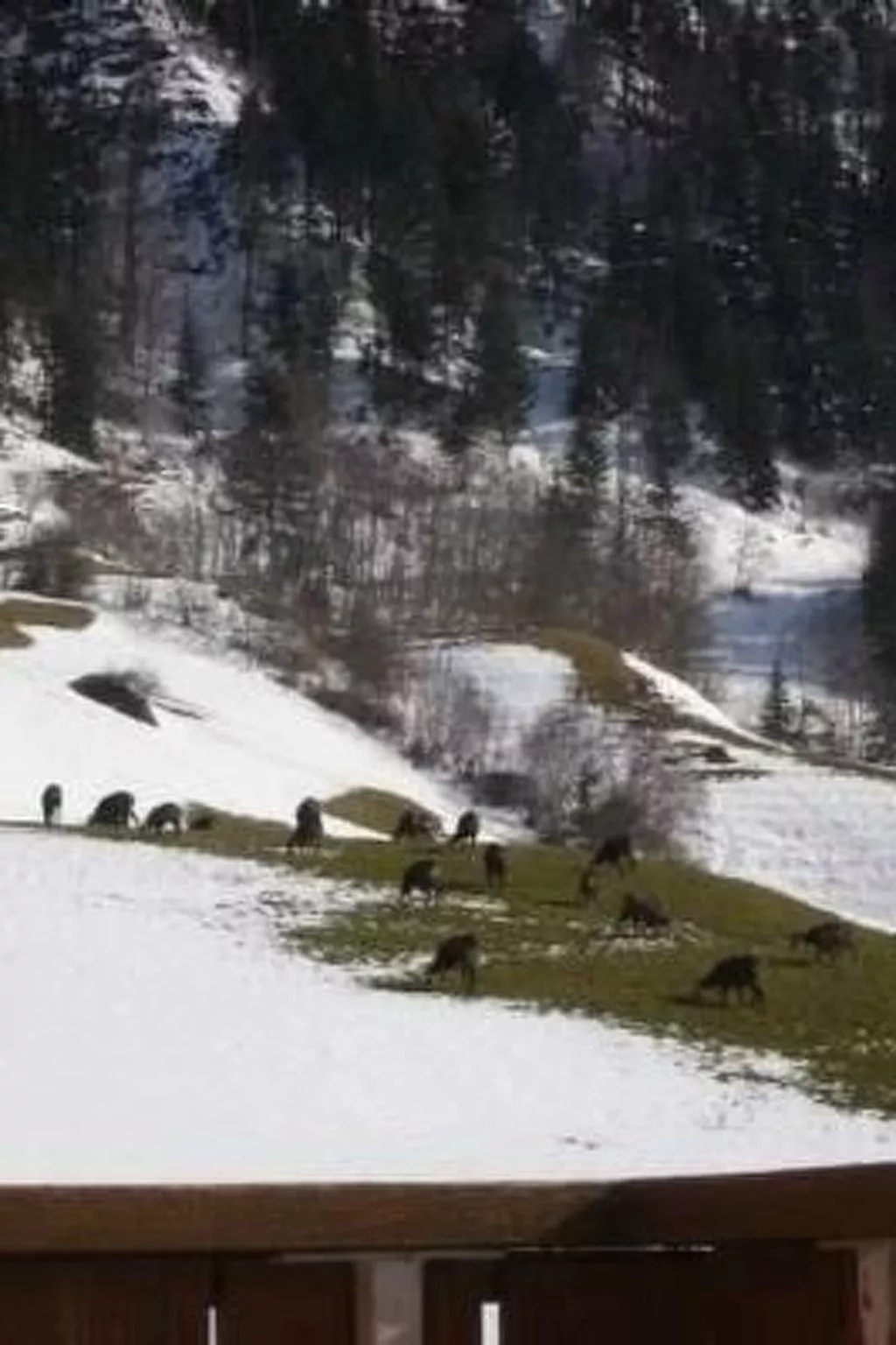 Eygrat-Image-tags.info