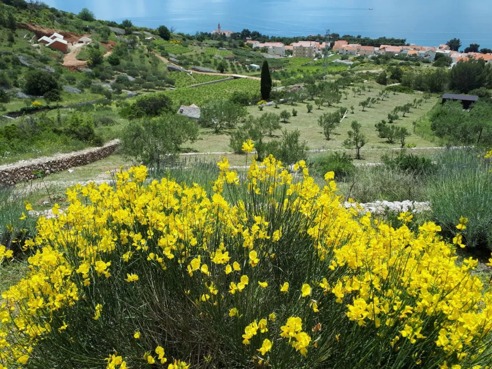 Wohnung in Bol-Binnen
