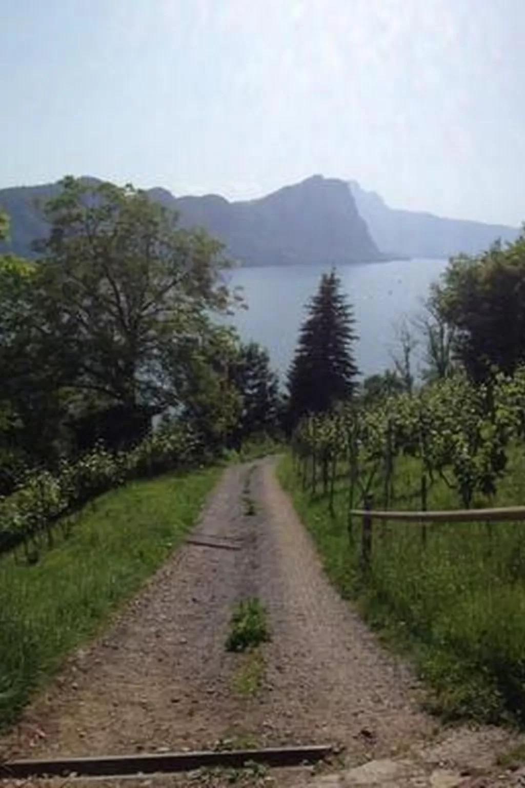 Mätzli-Image-tags.info