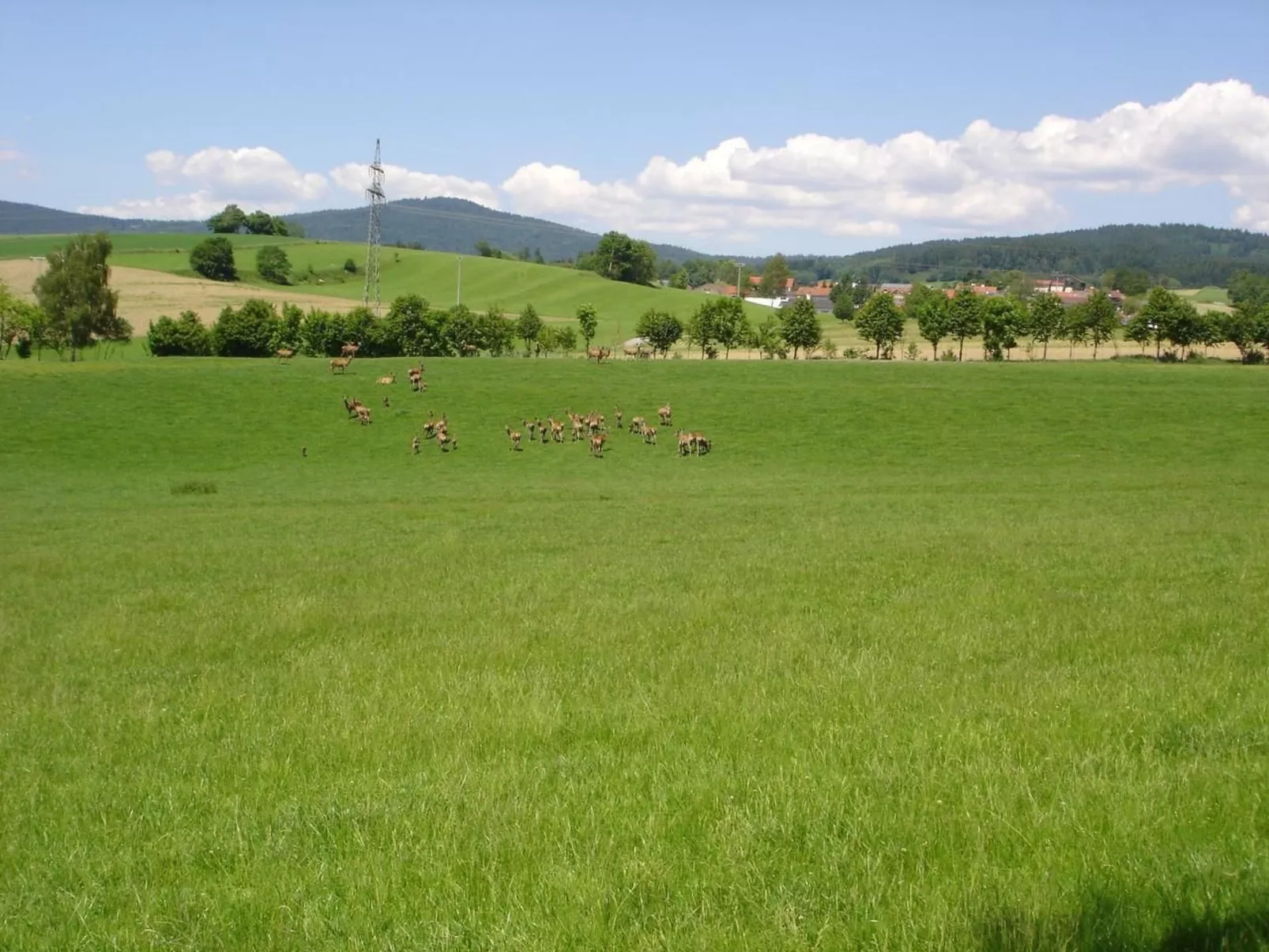 Marco in Eppenschlag-Image-tags.info