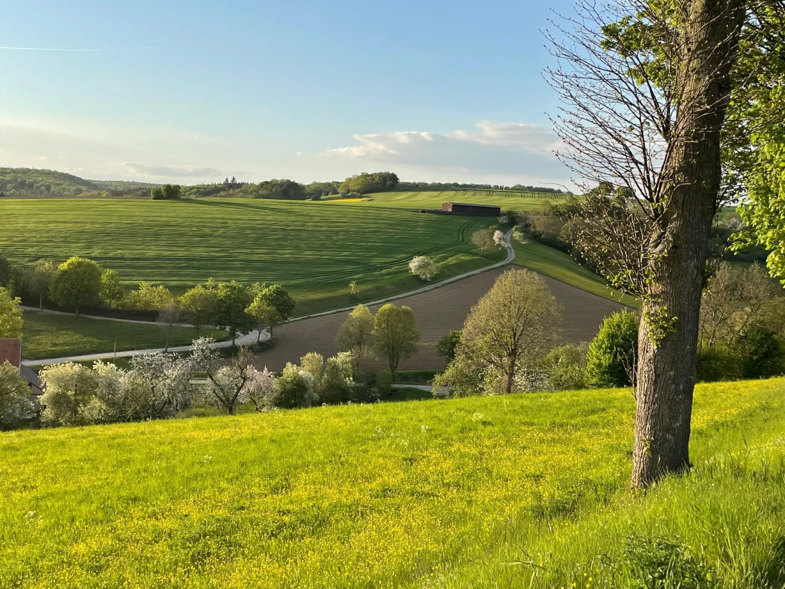 Nassauer Forsthaus-Binnen