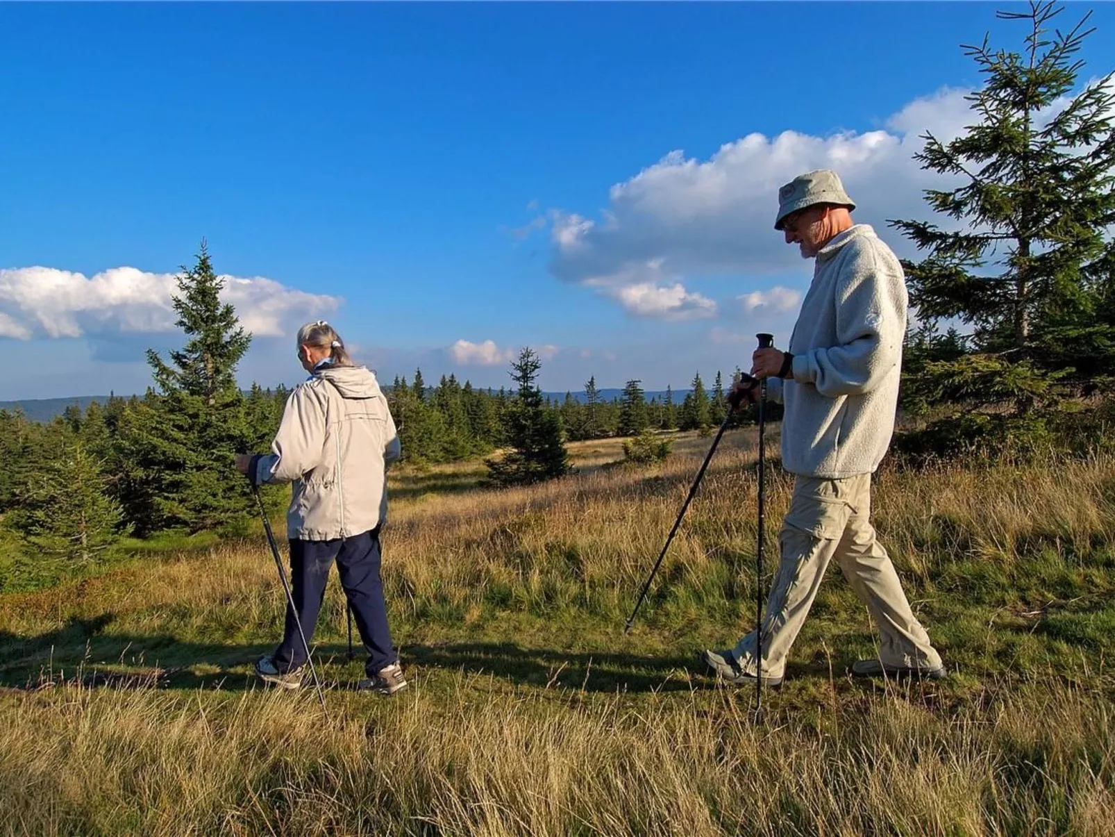 Wohnung Rozika-Image-tags.info
