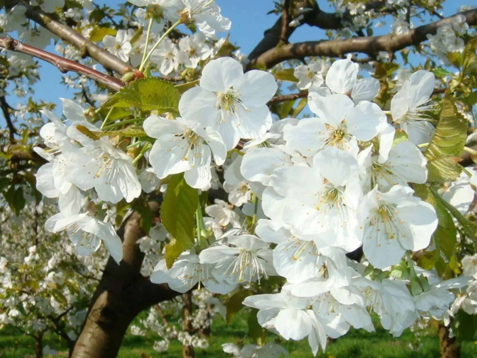 Haus Alpenblick-Binnen