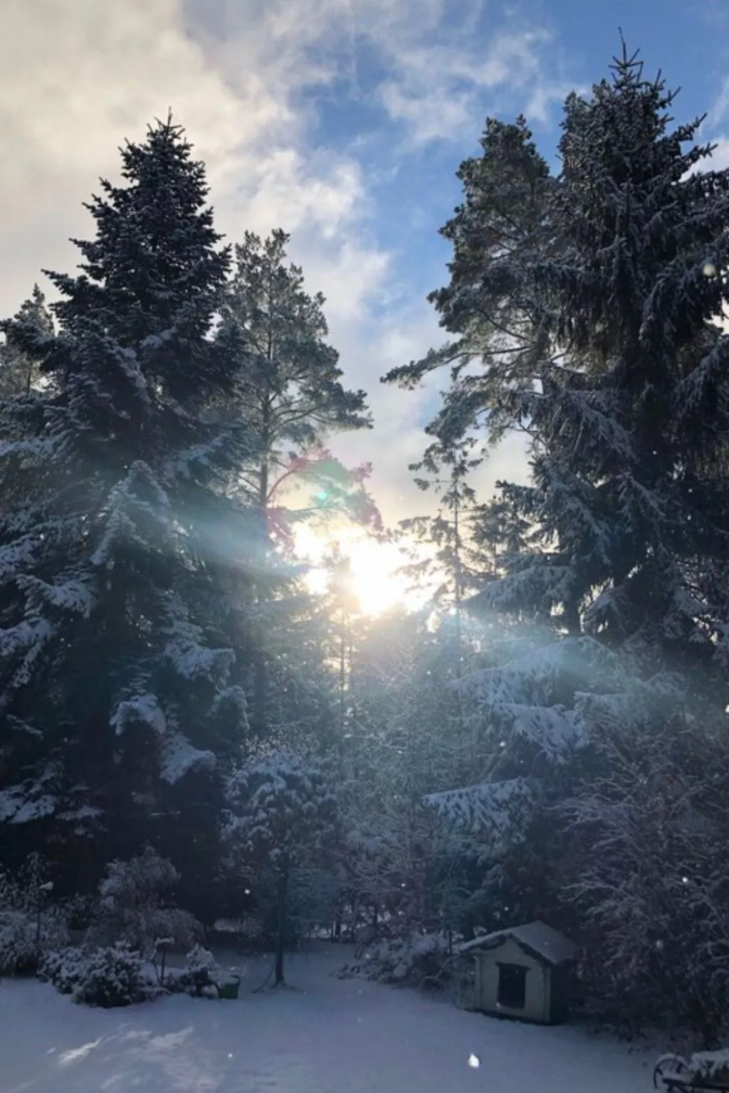 Reetdach Ferienhaus am Lübbesee Sauna Bootsteg neu-Binnen
