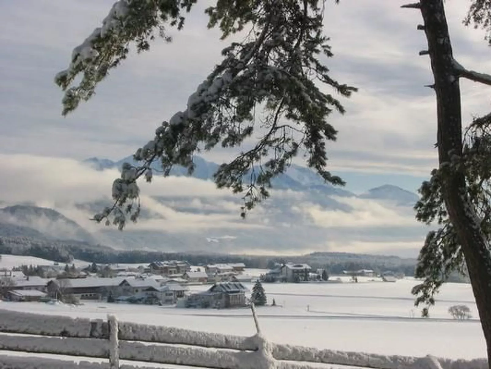 In Wildermieming-Image-tags.info