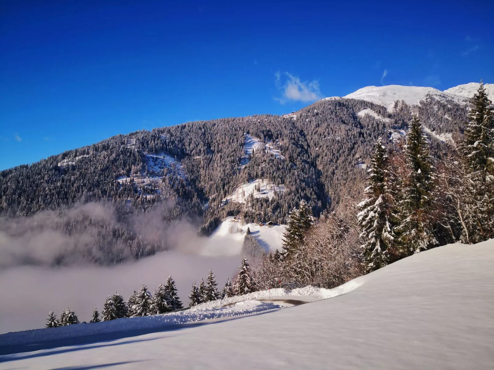Almhütte Enzian-Binnen