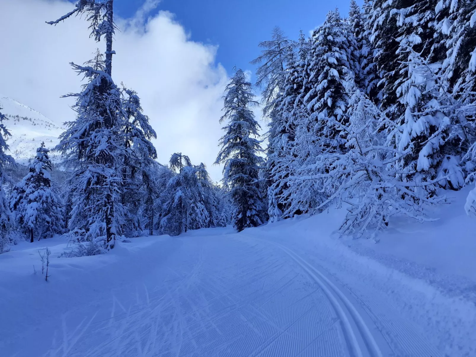 Urlaub in den Bergen-Buiten