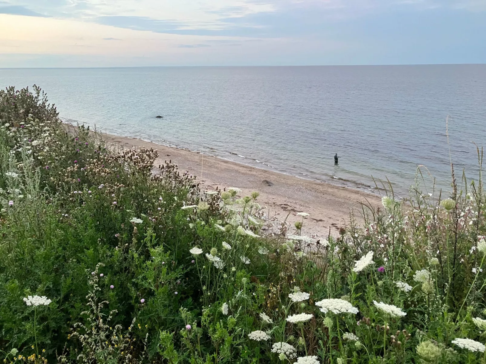 Haus mit Herz-Buiten