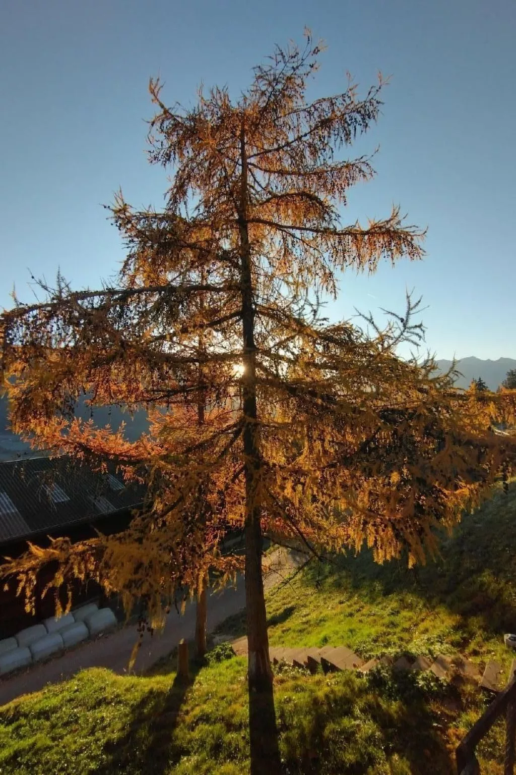 Staudenhof Viamala-Buiten