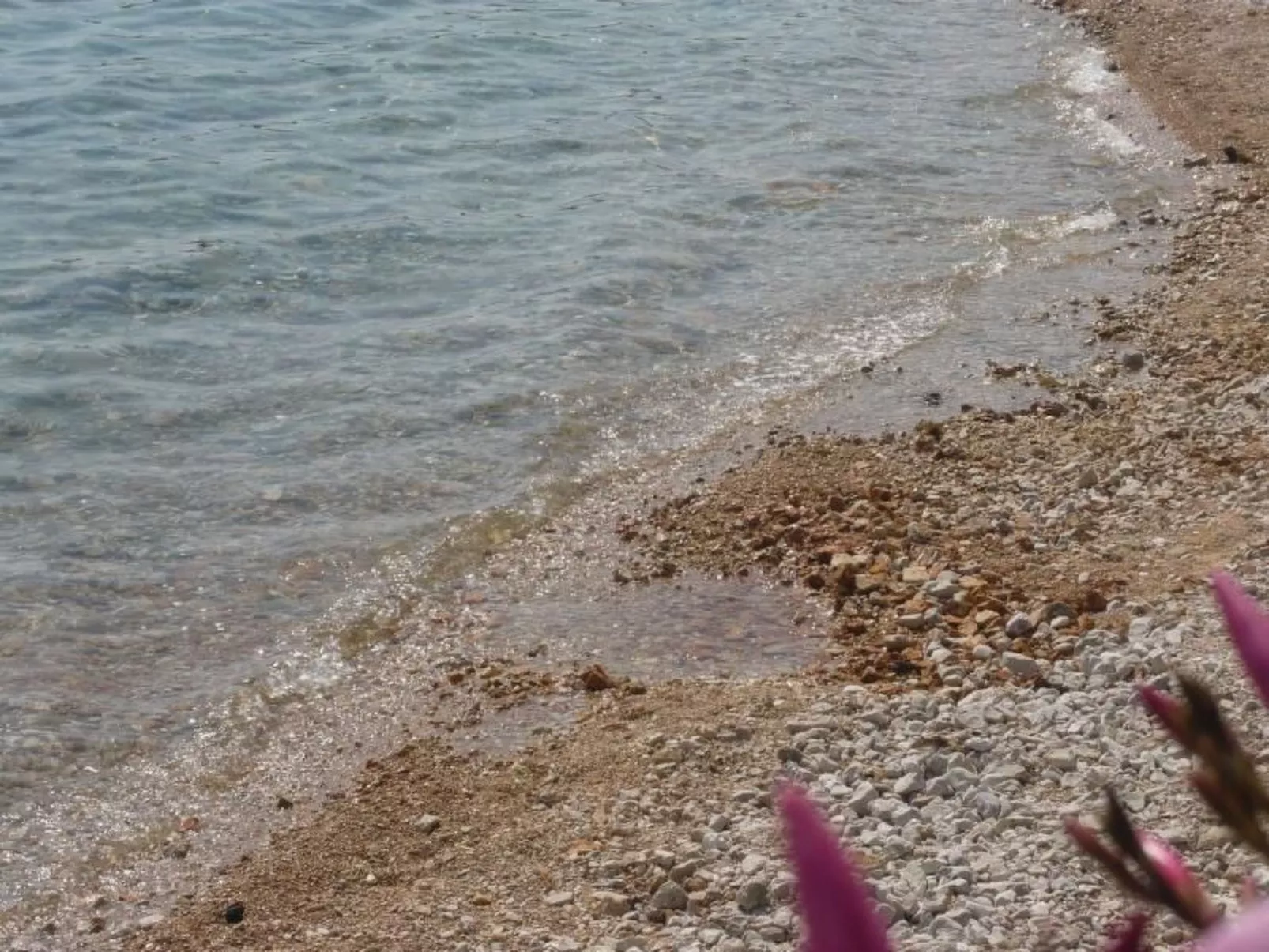 Studio mit Terrasse im ersten Stock des Hauses-Binnen