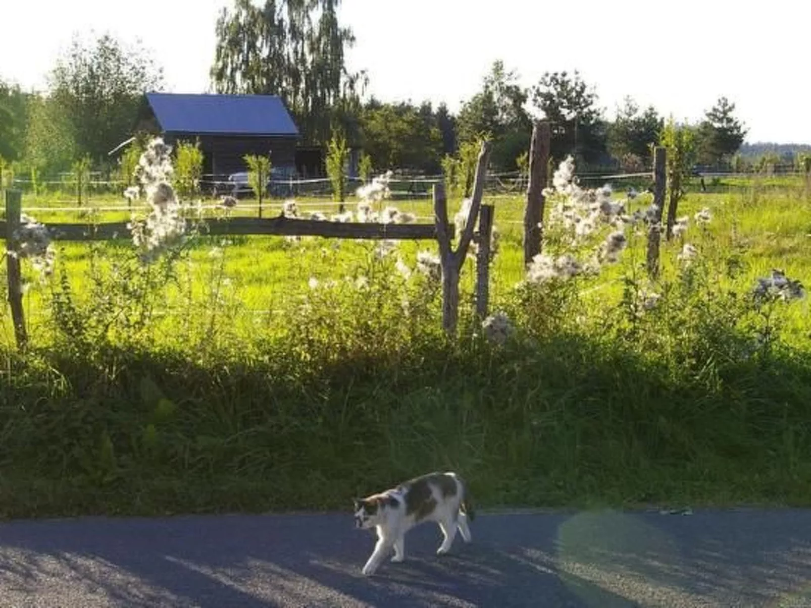 Blockhaus in Gajówka mit Kaminofen-Binnen
