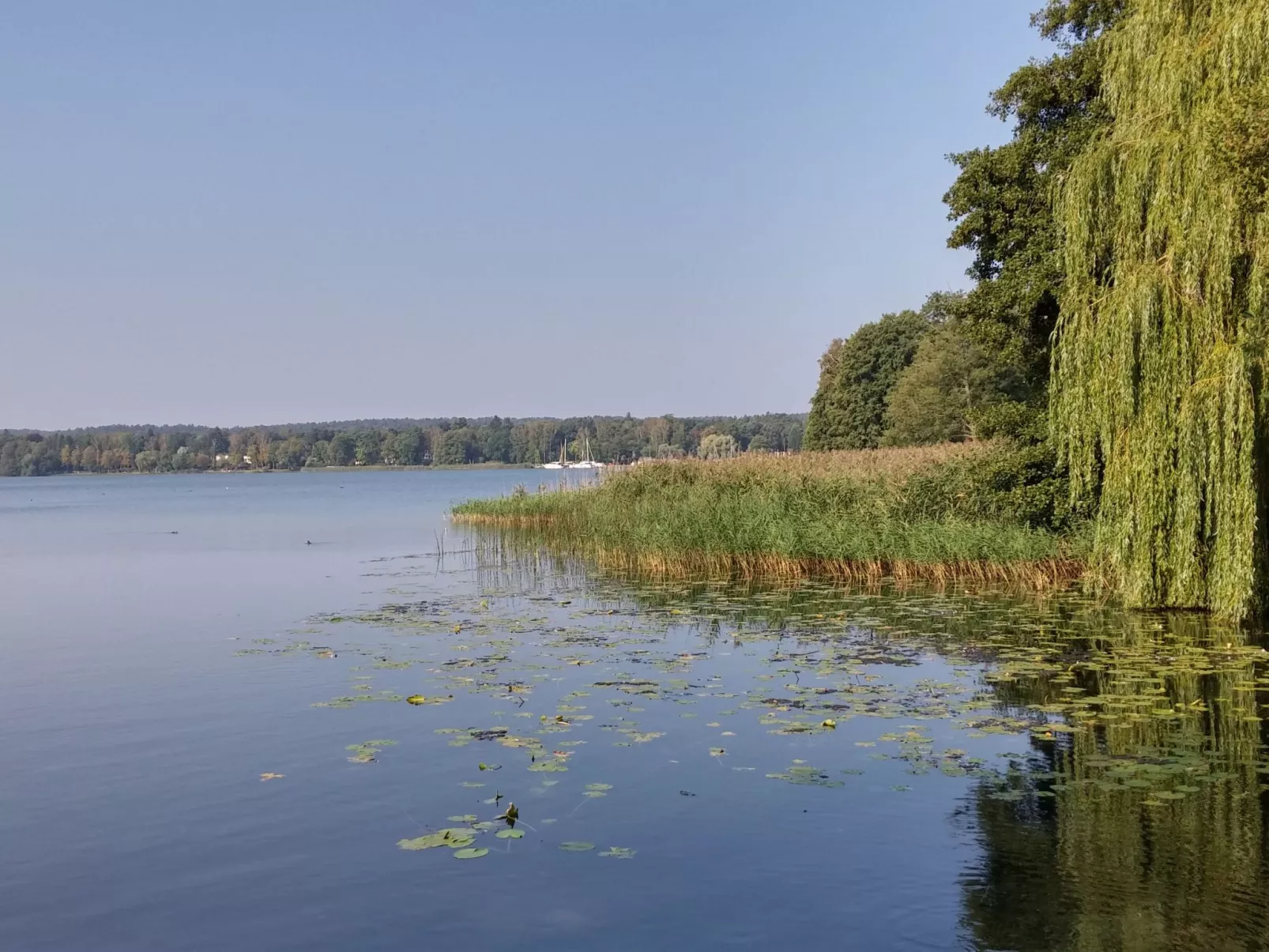 Appartement am See-Binnen