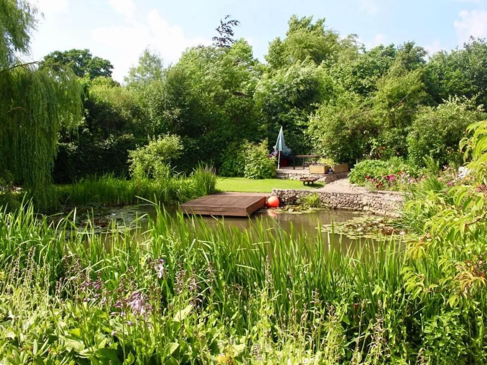 Teichblick in Klütz-Buiten
