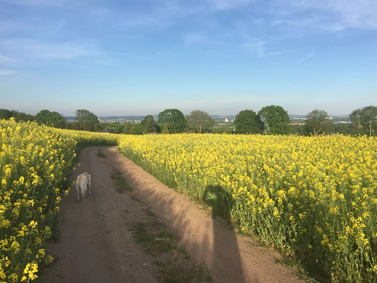 Waldhaus-Image-tags.info