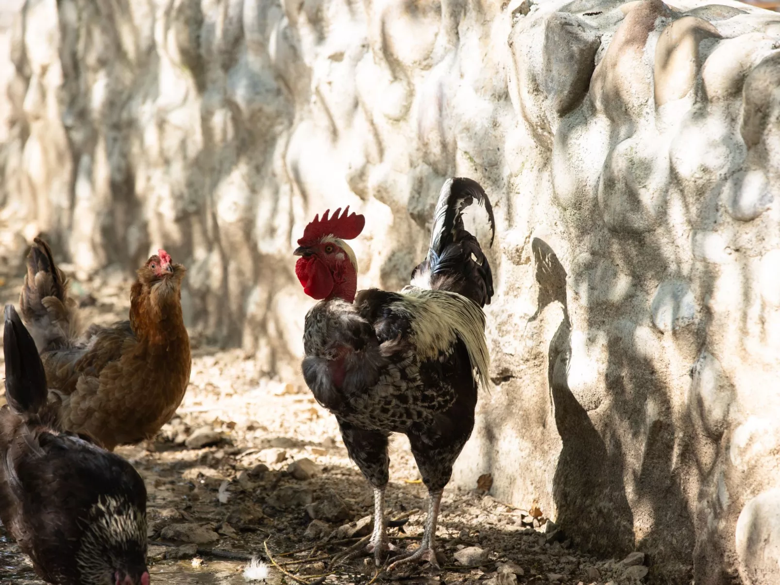 Appartement LouisXVI-Buiten