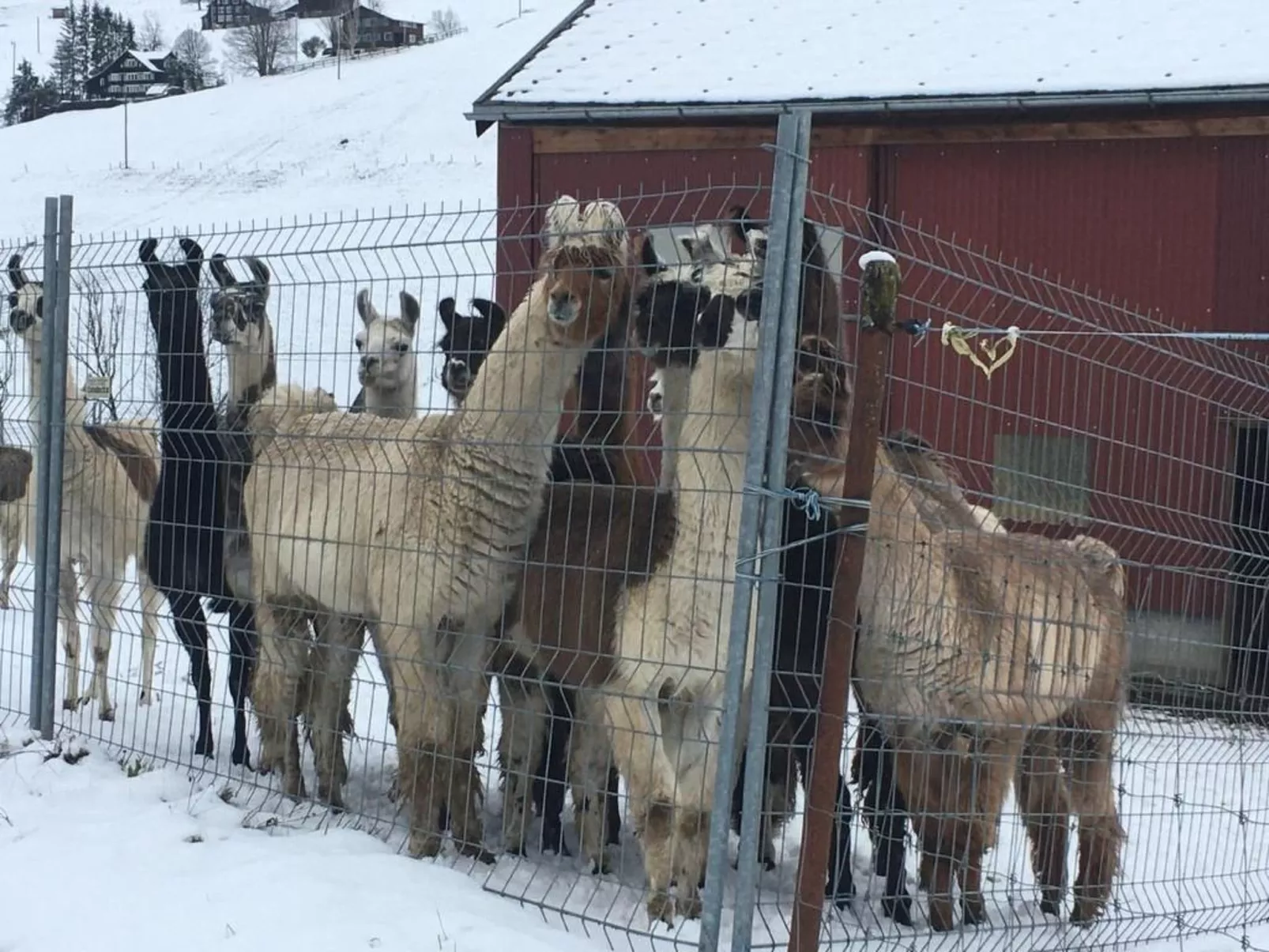 Haus am Bach-Image-tags.info