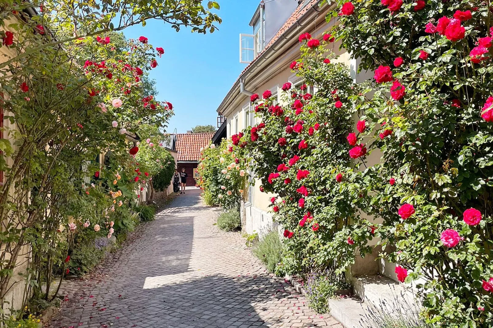 4 sterren vakantie huis in VISBY-By Traum-Niet-getagd