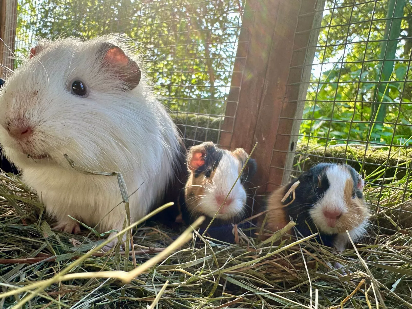 In  Green Valley Park 4 - Buiten