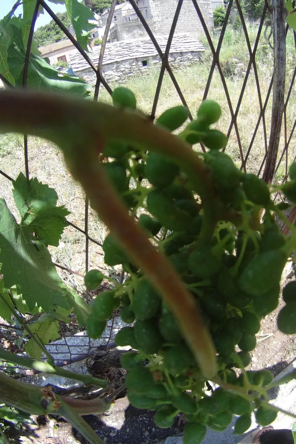 "Martina" direkt am Wasser-Image-tags.info