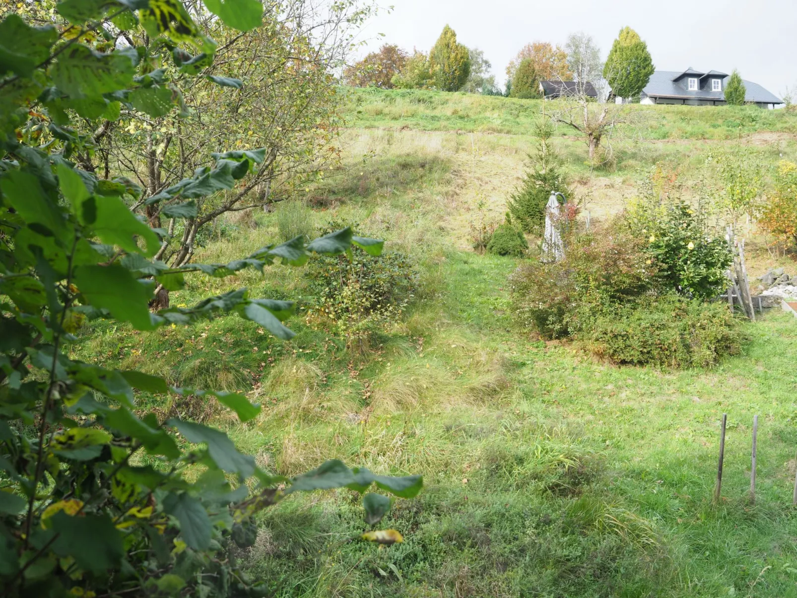 Ferienwohnunglatrop-Buiten