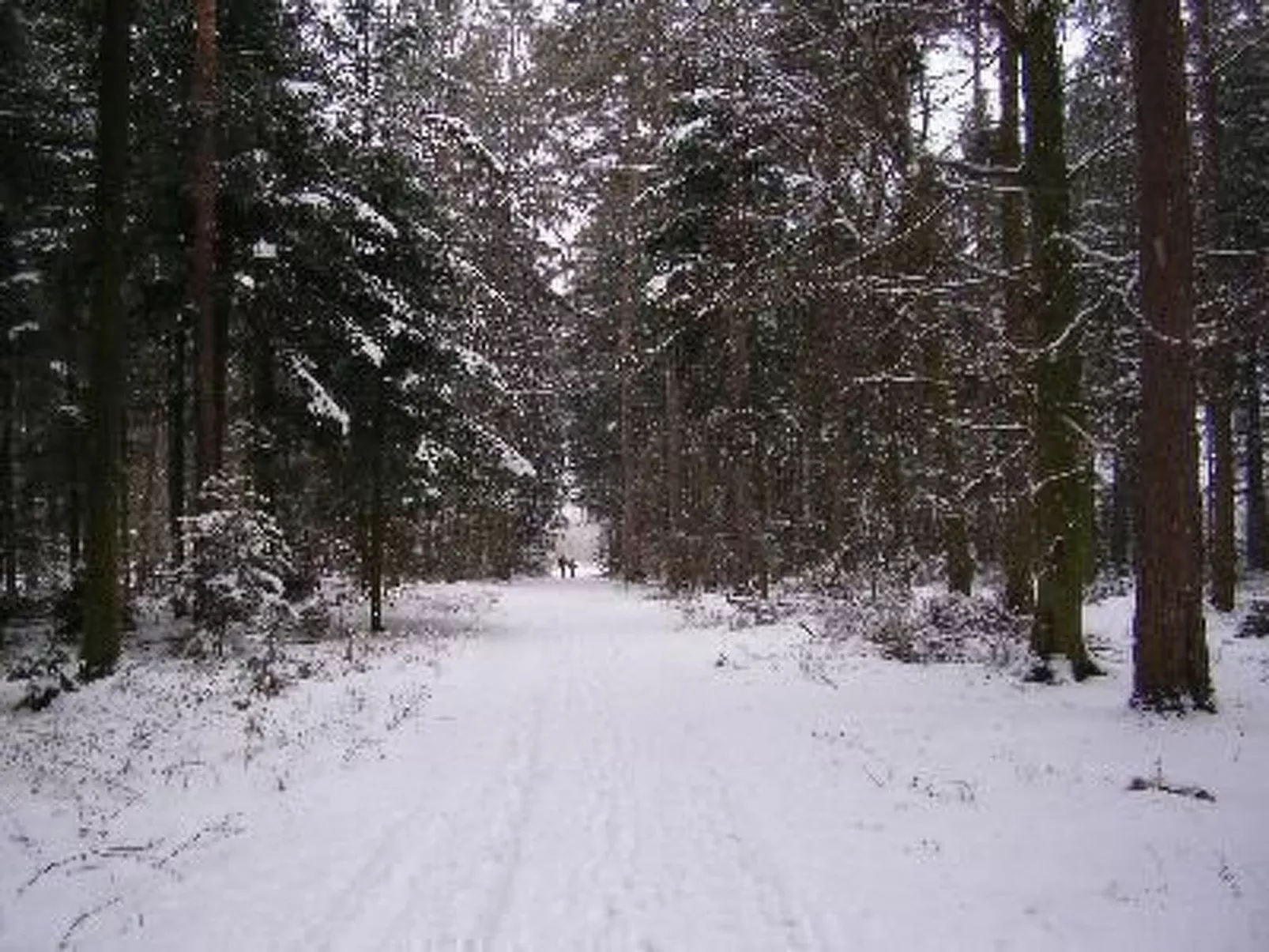 Nur-Dach-Ferienhaus für vier Personen-Binnen