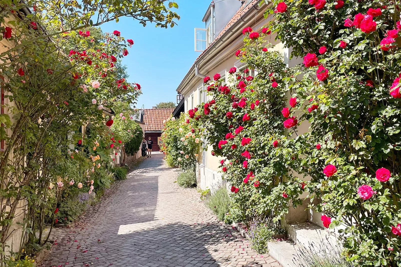 4 sterren vakantie huis in GOTLANDS TOFTA-By Traum-Niet-getagd