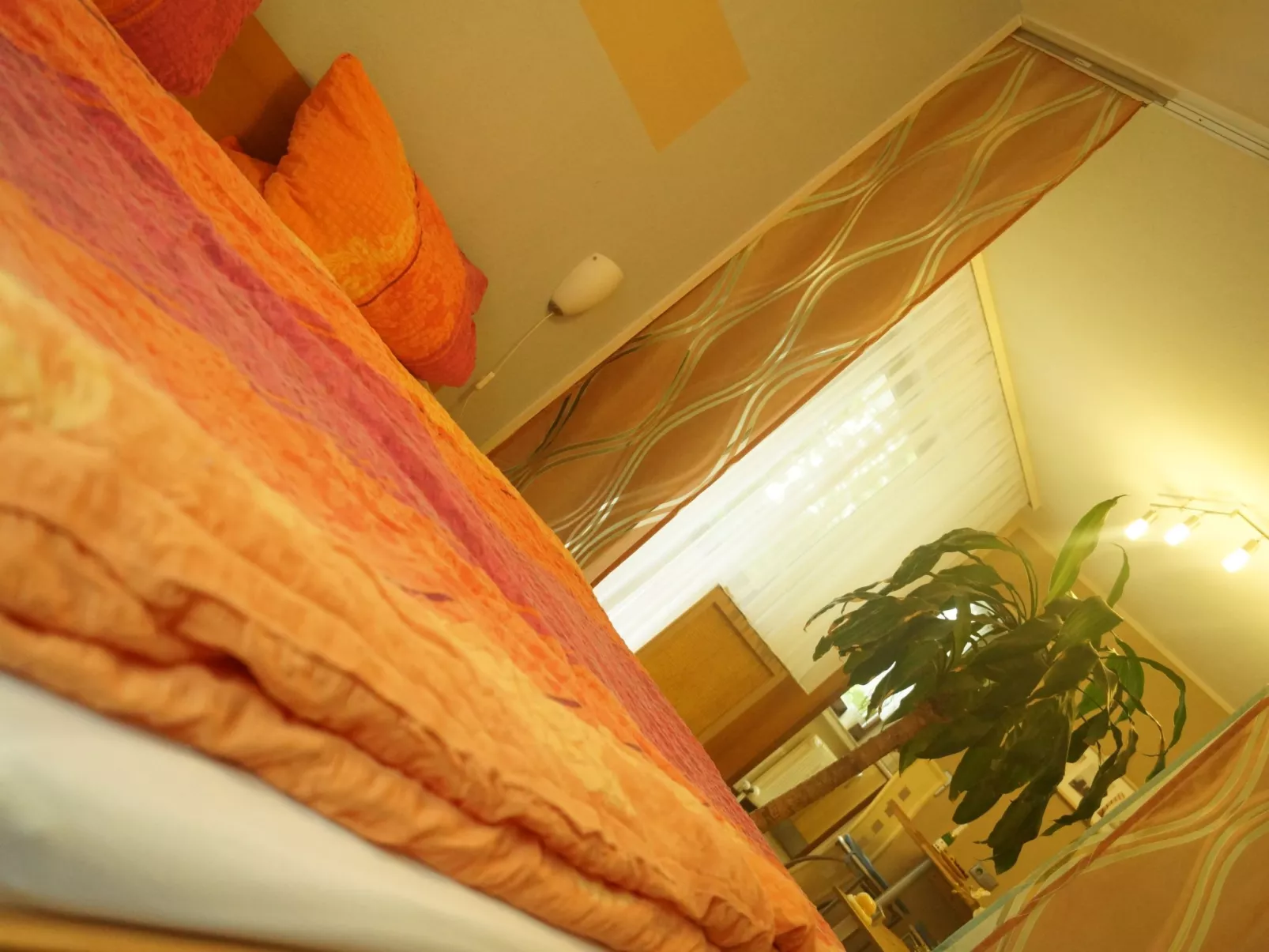 Cassiopaia in Baden-Baden-Binnen